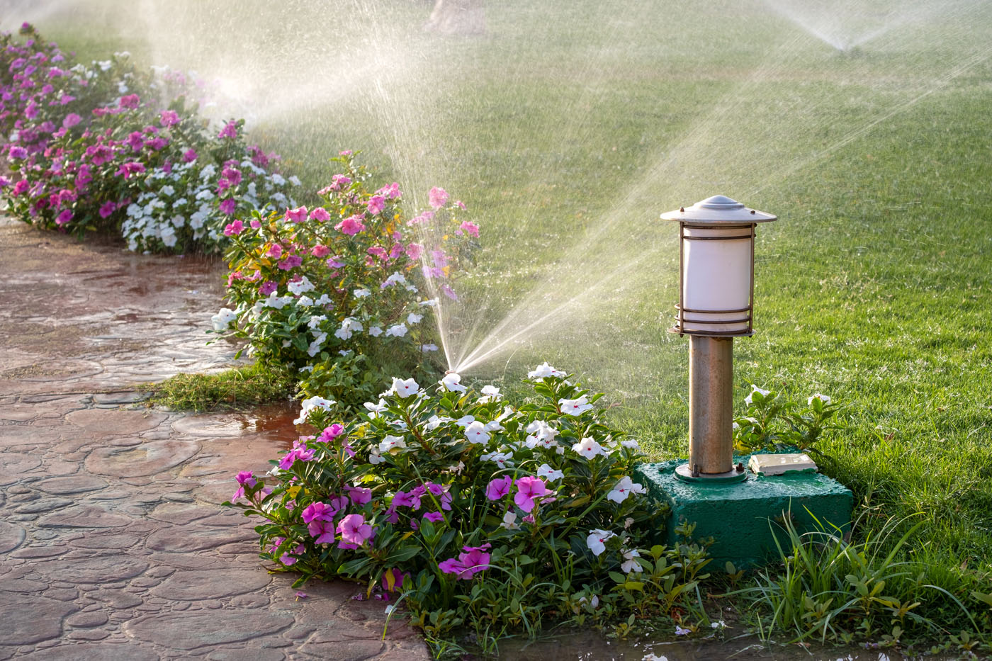 landscaping company in Mesa, AZ