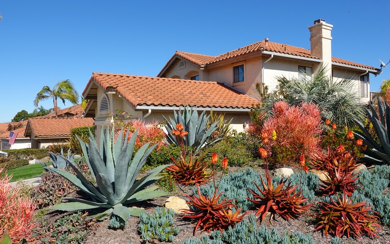 6 Native Plants to Add to Your Landscaping in Utah