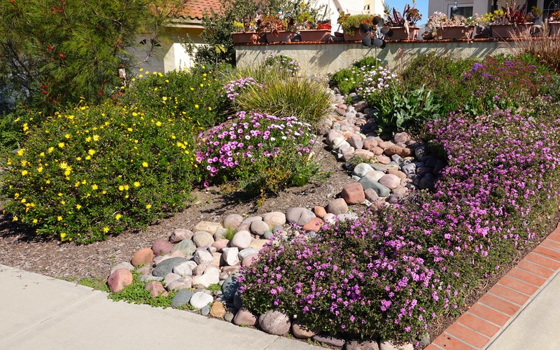 Localscaping can help your yard be evironmentally friendly - contact Hot Shot Sprinkler Repair & Landscape today for services.