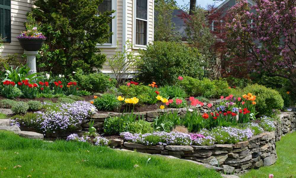 A beautifully landscaped yard by Hot Shot with tiers of colorful flowers and a green lawn.