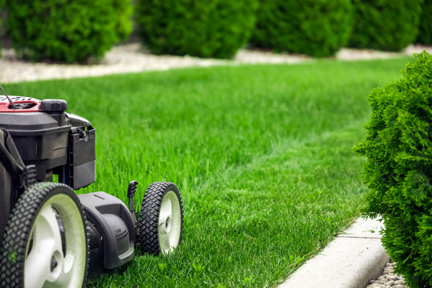 A closeup image of a mower cutting grass in Farmington, UT.