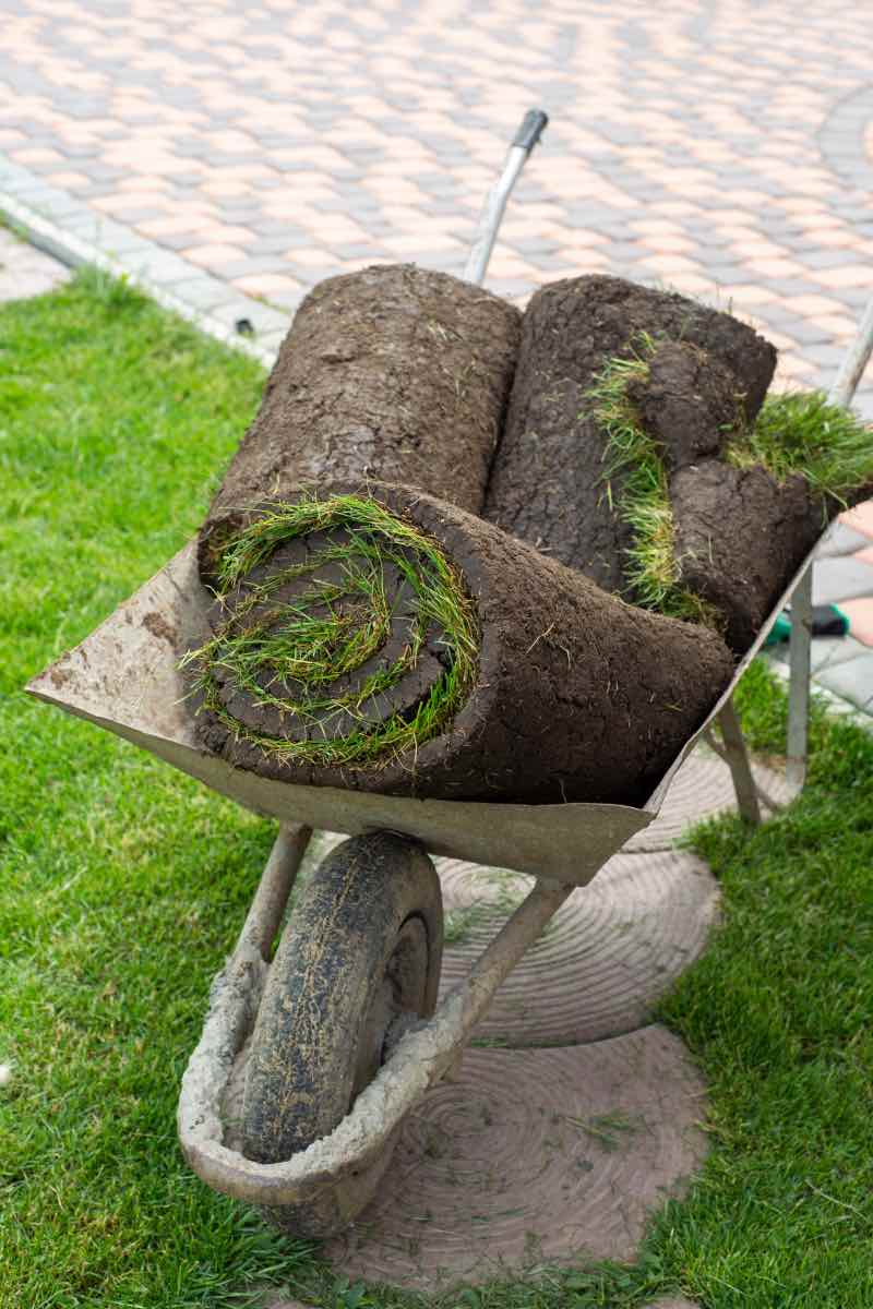 Wheelbarrow of green sod ready for installation from Hot Shot Sprinkler Repair & Landscape.