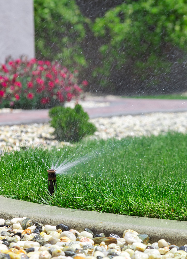 A sprinkler head on a beautiful green lawn thanks to Hot Shot Sprinkler Repair & Landscape.