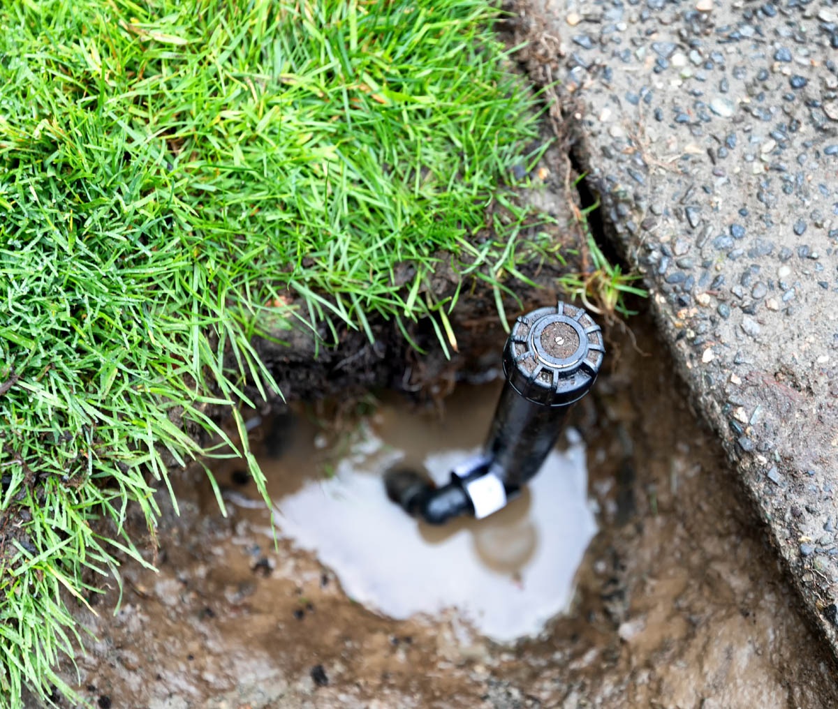 A sprinkler with a leak - Hot Shot Sprinkler Repair & Landscape can help.