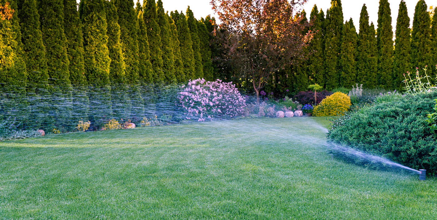 A beautiful lawn taken care of by the experts at Hot Shot Sprinkler Repair & Landscape.