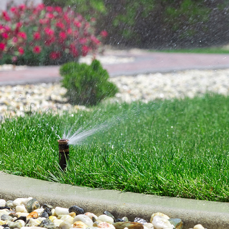 A sprinkler spraying water into a green yard to ensure sod installation is successful and beautiful.